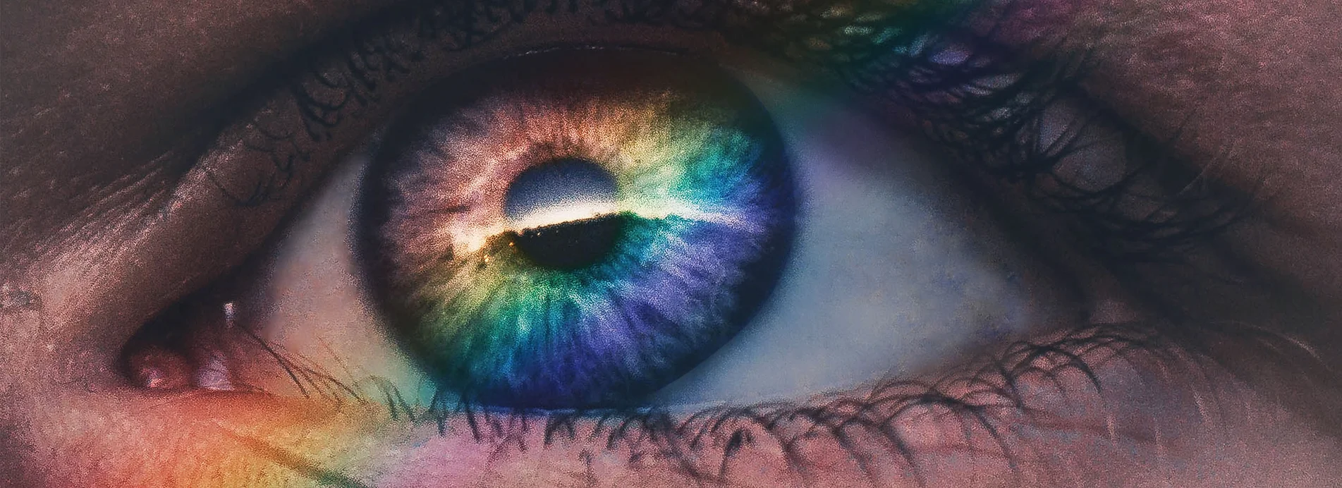 f254a6_f1b0f5fca5fc4cd7b58fd74d752753de~mv2